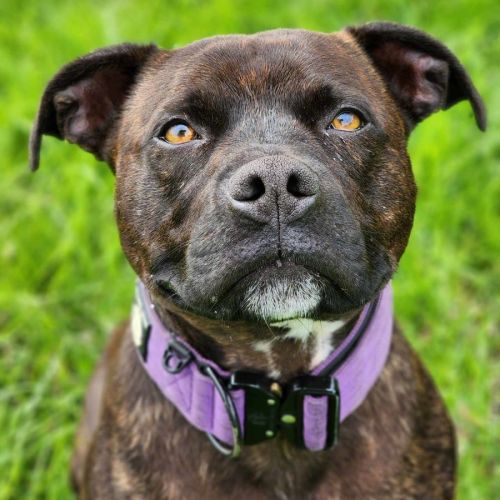 👾 Colin 5133 👾