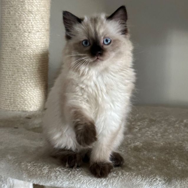 Photo of Willow ❤️🥰