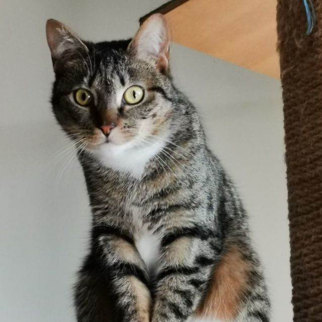 Photo of Juno 🌷🌷