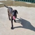 Photo of Tess