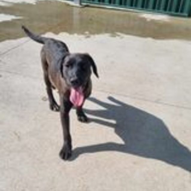 Photo of Tess