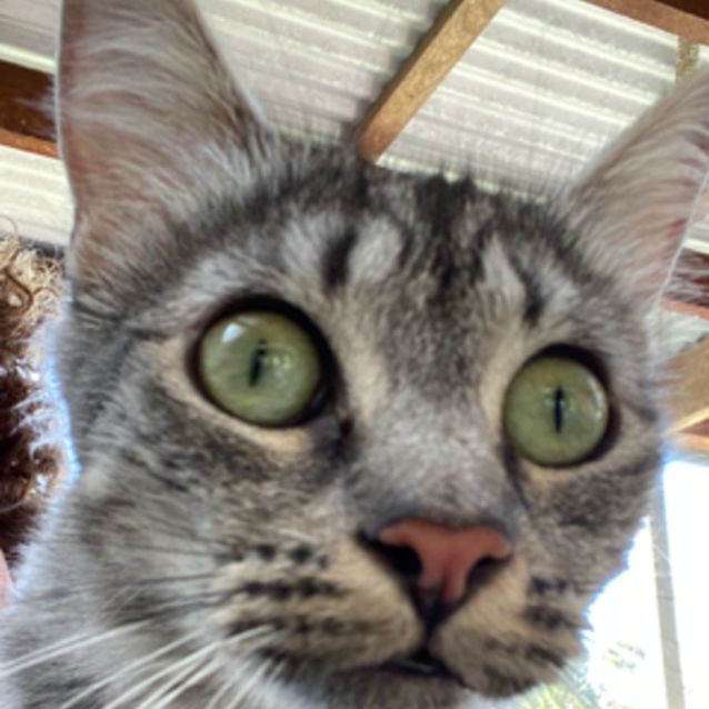 Photo of Eva