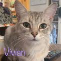 Photo of Vivian
