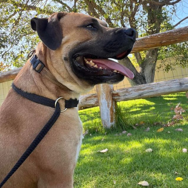 Photo of Dusty Dl2801