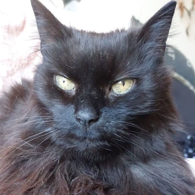 Photo of Thelma And Louise