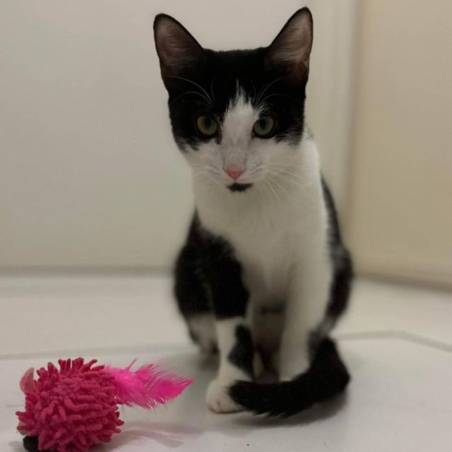 Photo of Leia