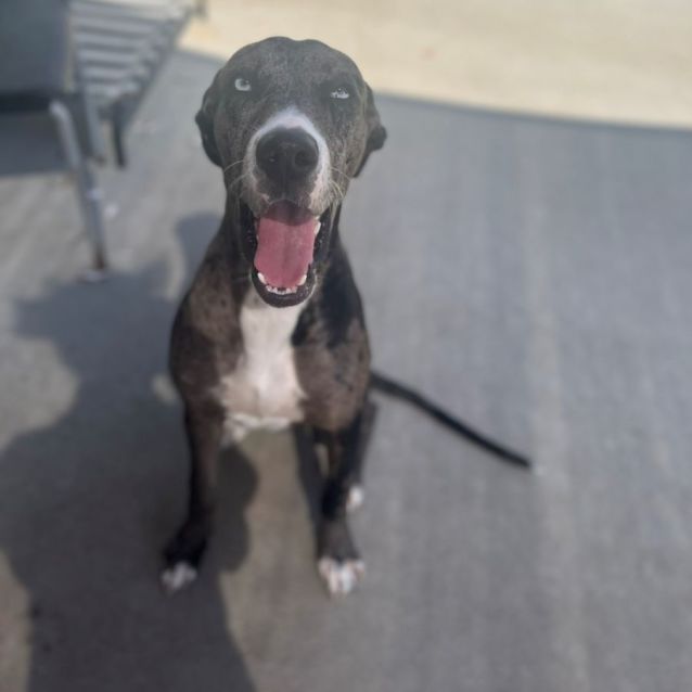 Photo of Deborah (9811)