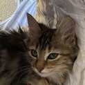 Photo of Shazza