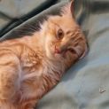 Photo of Winnie