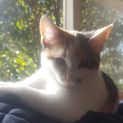 Photo of Bella π