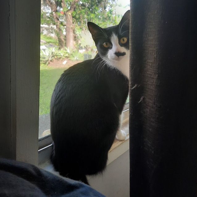 Photo of Penelope (Penny)