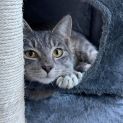Photo of Milo