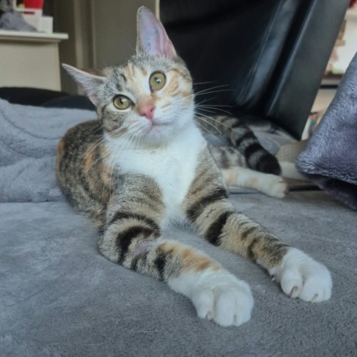 Matilda