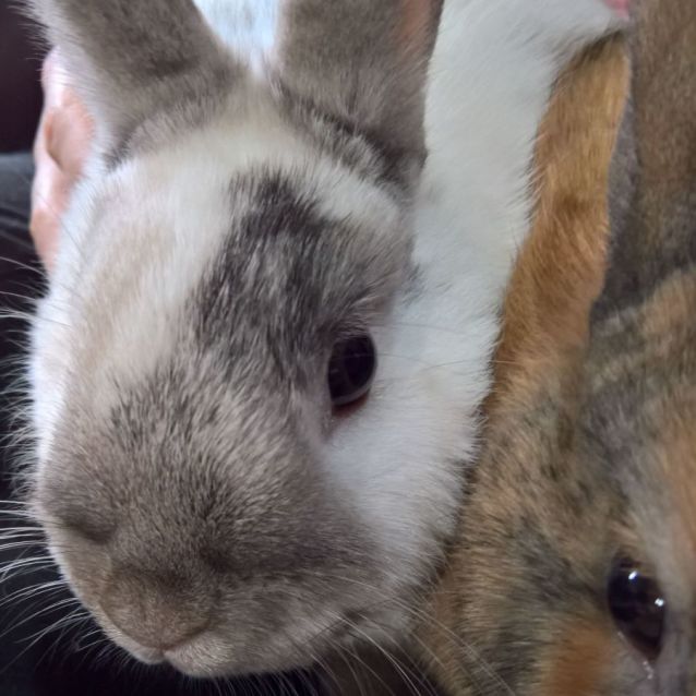 Photo of Patrick & Leopold