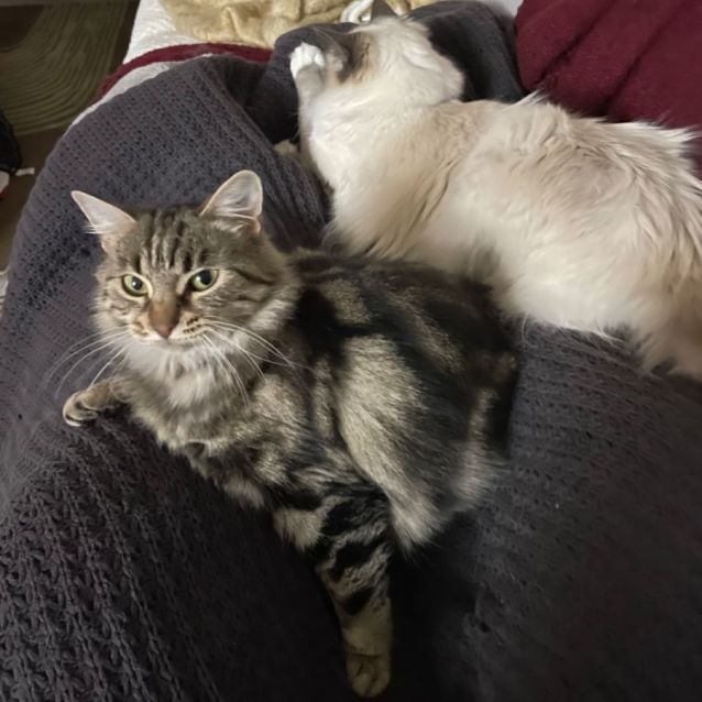 Photo of Patty 💜🌸