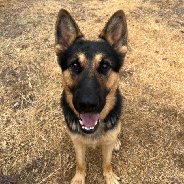 Photo of Zeus