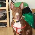 Photo of Snorkel