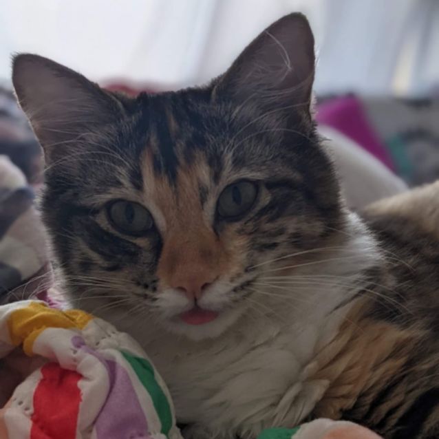 Photo of Phyllis
