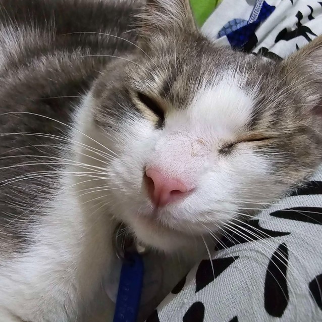 Photo of Jaskier