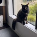 Photo of Luna