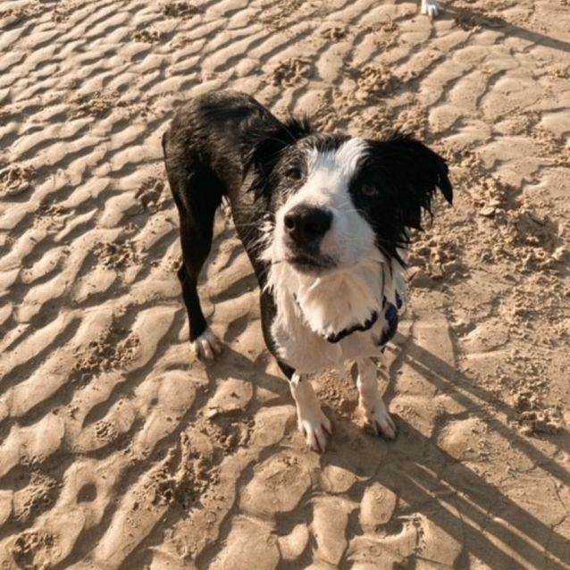 Photo of Max