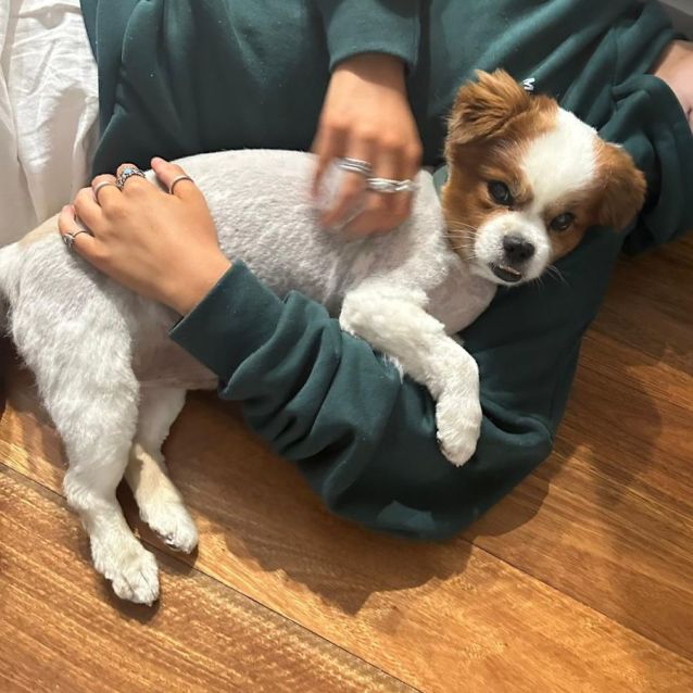 Photo of Bug 🤗💛✨