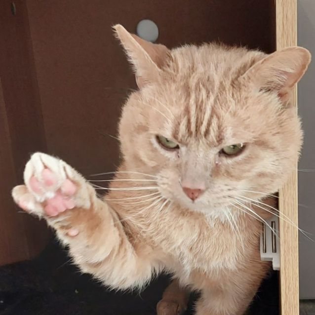 Photo of Gregory   Located In Preston