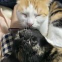 Photo of Bonnie & Delilah
