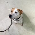 Photo of Waylon