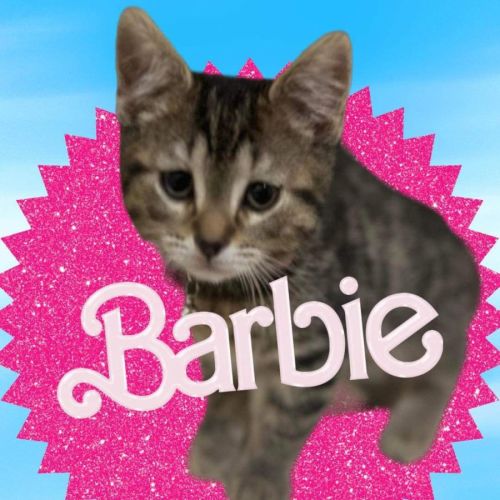 Barbie