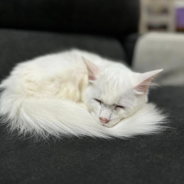 Photo of Miss Mellow