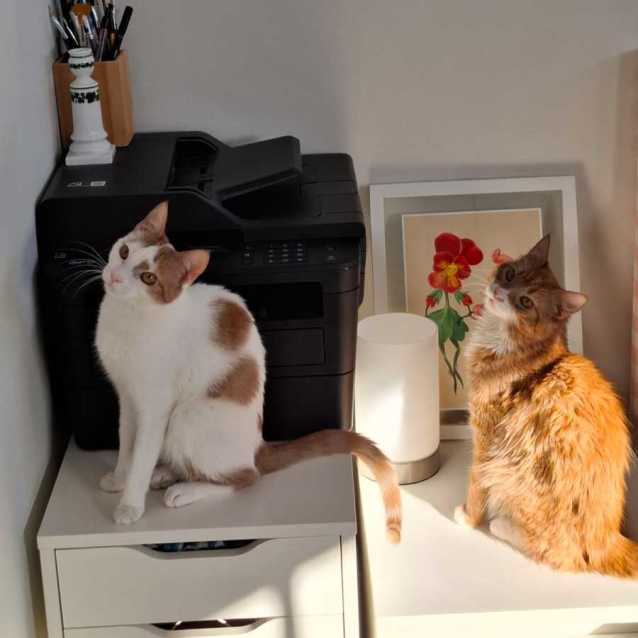 Photo of Misty & Brock