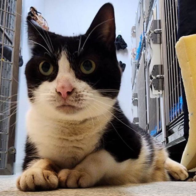 Photo of Nibbler (Located In Lynbrook)