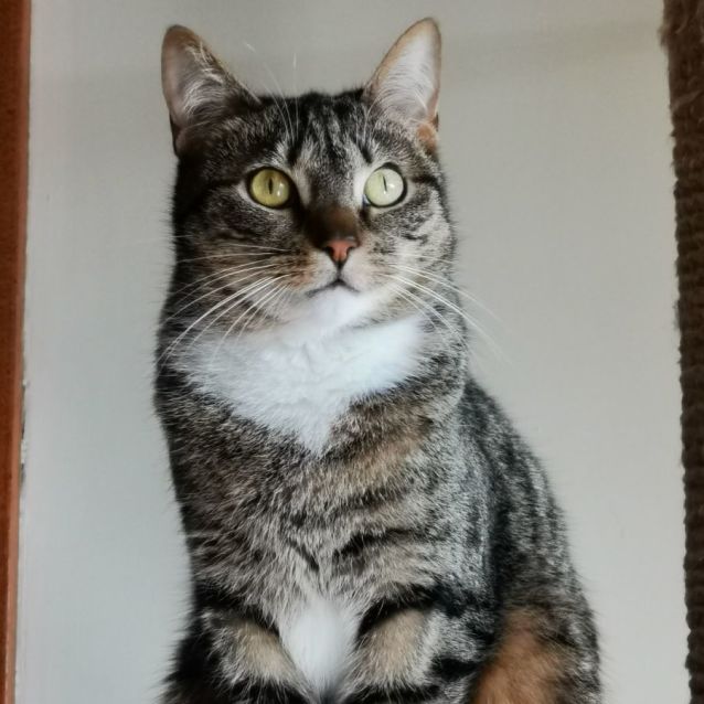 Photo of Juno 🌷🌷