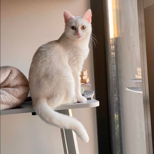 Photo of River (Located In Docklands)