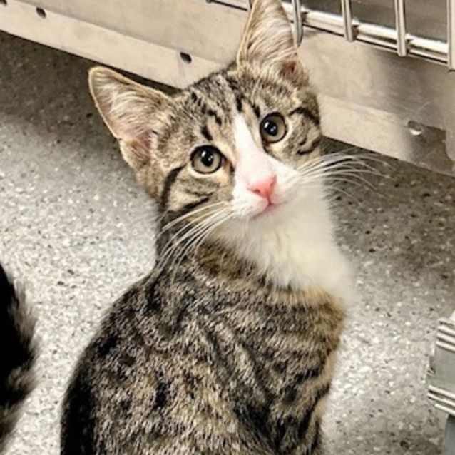 Photo of Shaggy & Velma