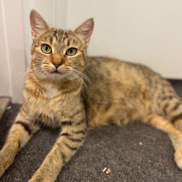 Photo of Cora