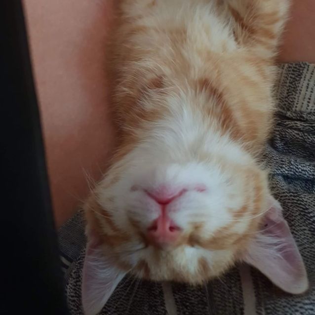 Photo of Terry, Gordon & John