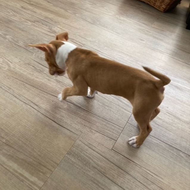 Photo of Sir Captain Crunch