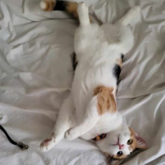 Photo of Tilly