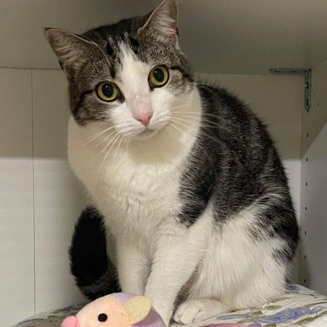 Photo of Delilah