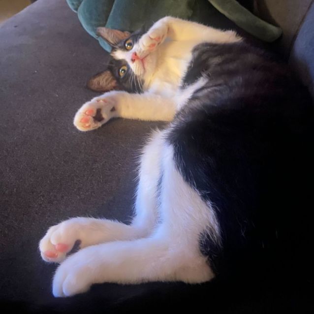 Photo of Miss Tee