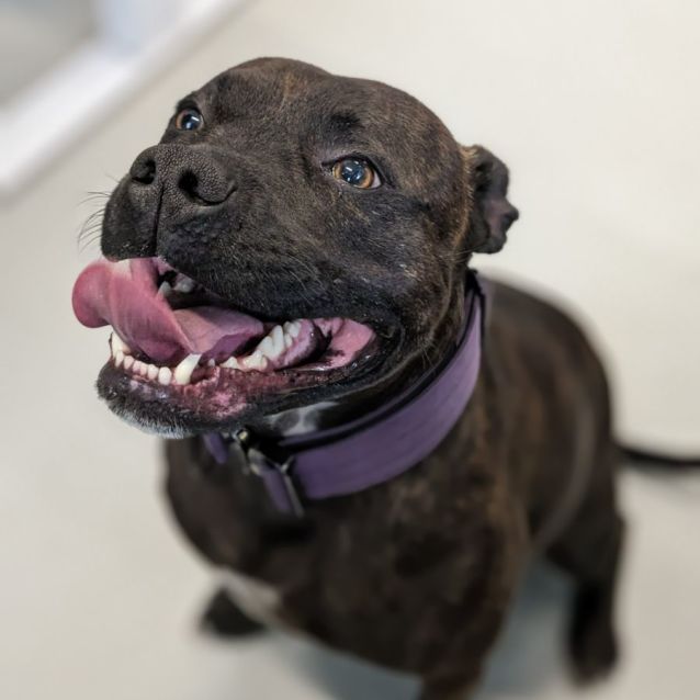 Photo of 👾 Colin 5133 👾