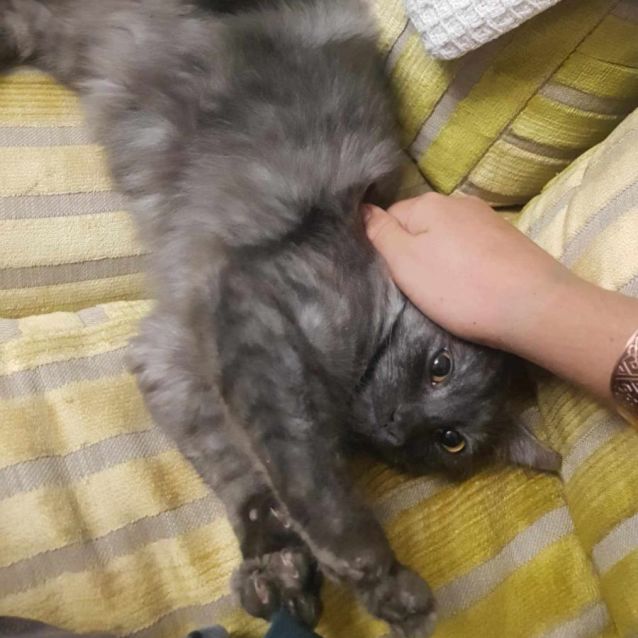 Photo of Mystique