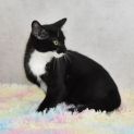 Photo of Boots