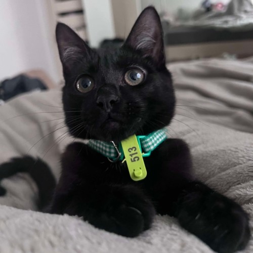 🥰Salem🥰
