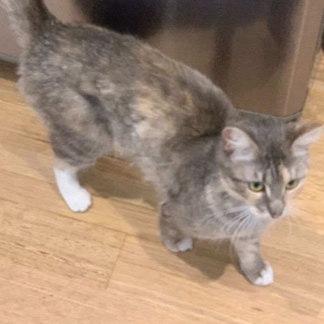 Photo of Loralie & Blossom 🌸🌼