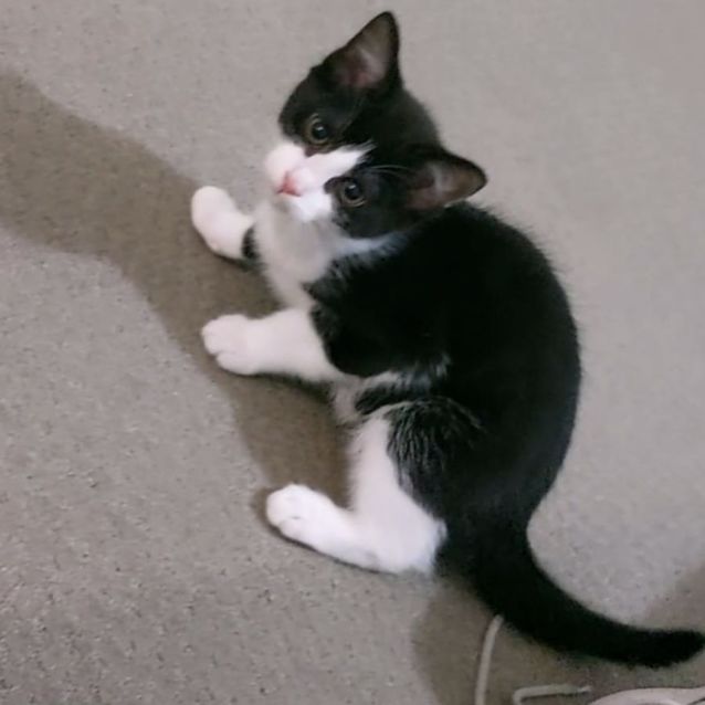 Photo of Lucy