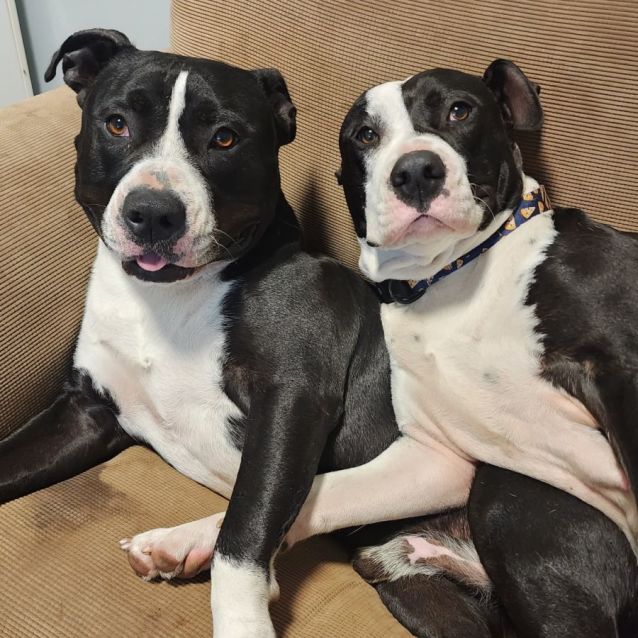 Photo of Jane And Thor