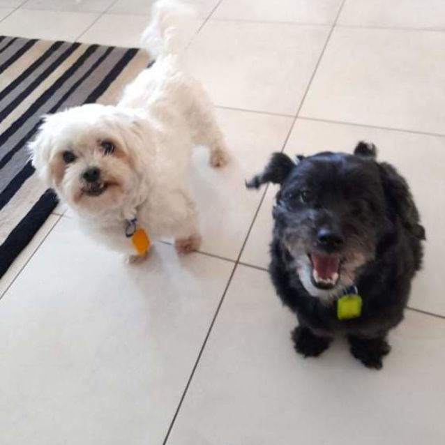 Photo of Mak And Tucker